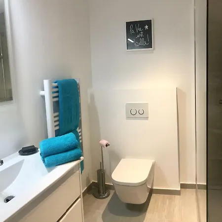 La Terrasse Des Palmiers Appartement Antibes